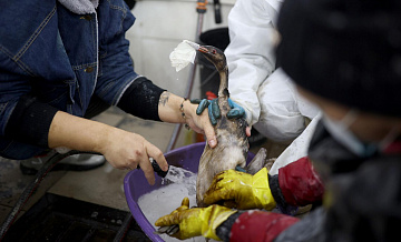 В Крыму собирают добровольцев для помощи в районе нефтеразлива