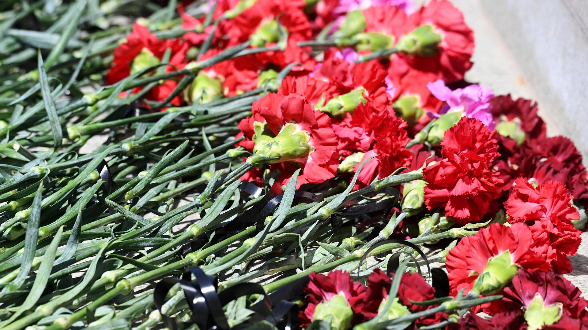 � �������� ������� �������� �������� � ���