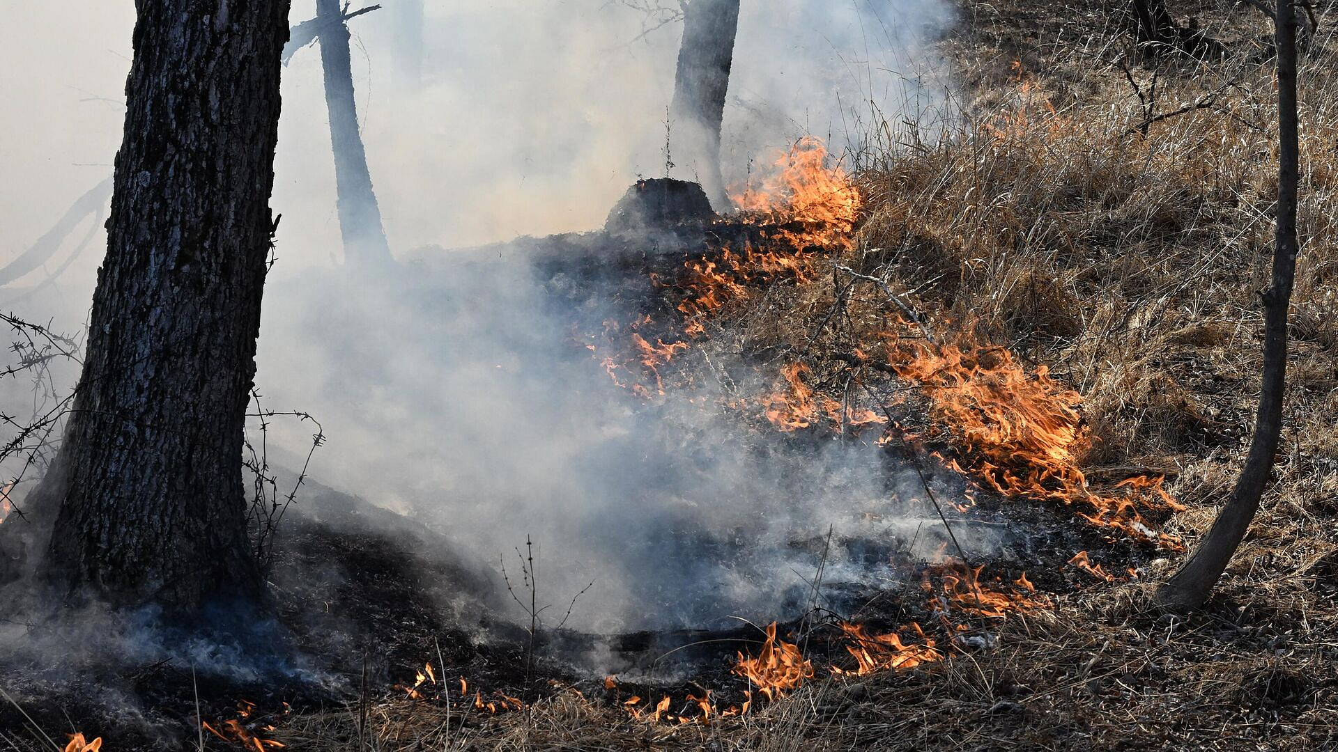 � �������� ��������� ��� ������ ������ � �����������