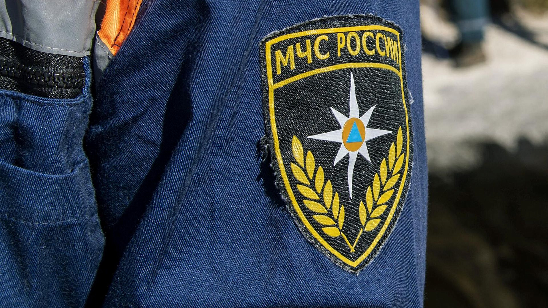 В Ленинградской области спасатели помогли аисту со сломанной лапой