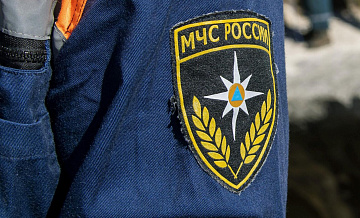 В Ленинградской области спасатели помогли аисту со сломанной лапой