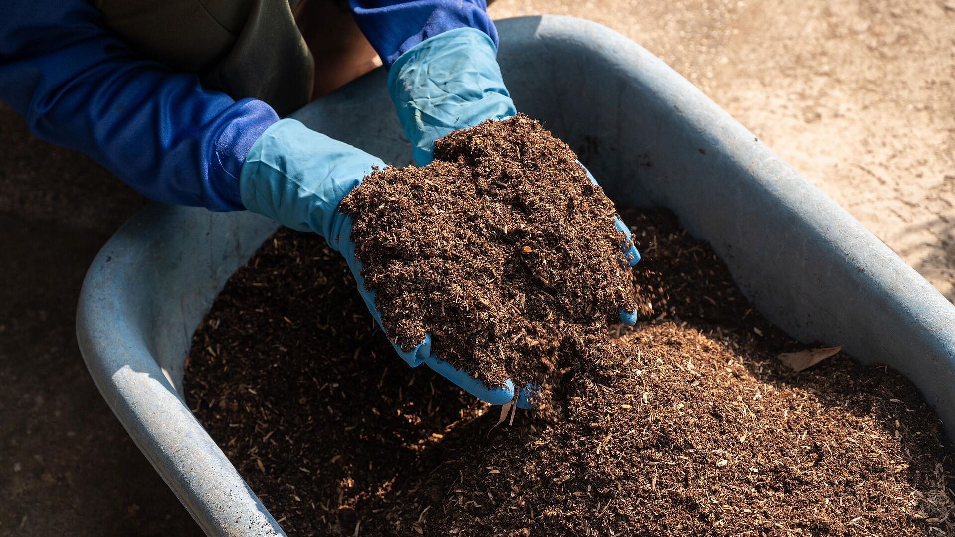 Россия в 2025 году нарастила поставки удобрений в Индию на 40 процентов