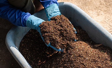 Россия в 2025 году нарастила поставки удобрений в Индию на 40 процентов