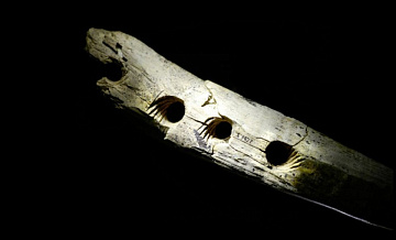Установлено предназначение таинственного 37 000-летнего артефакта