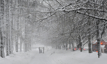 � ���������� ������� ����� ����� ���������� ���������� ��-�� ��������