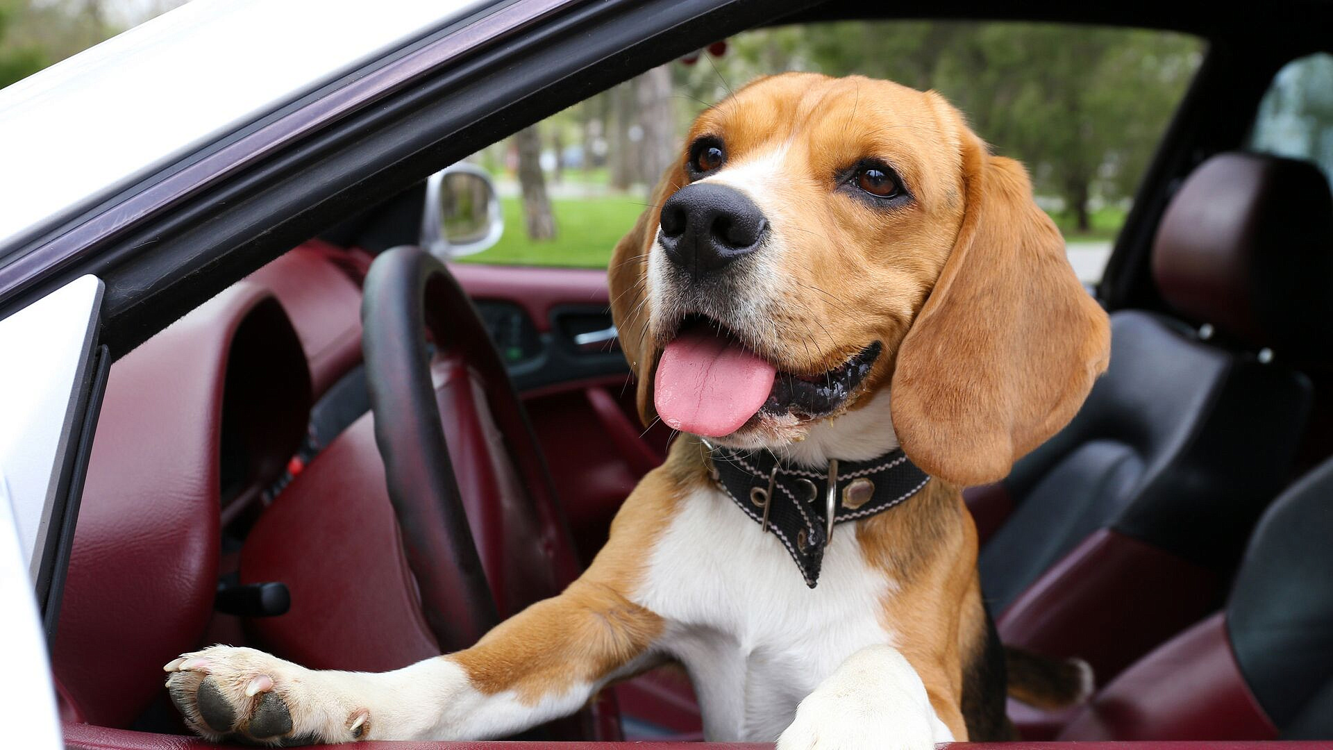 �������� ����������, ��� ����������� ������ � �������