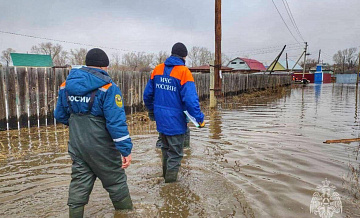 Жители Курганской области подали более 900 заявок на выплаты из-за паводка