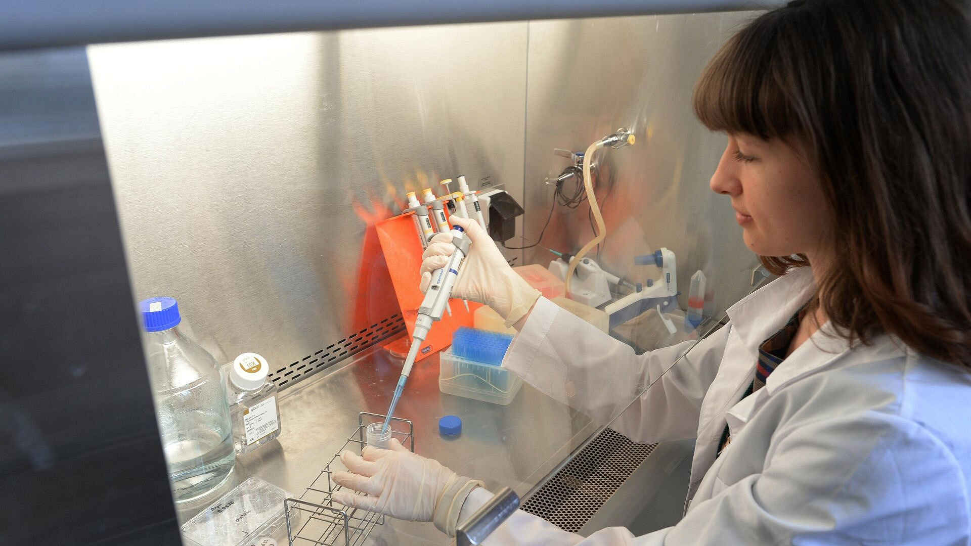 ������� ����� ������������� ������������� ��� �������� � 2026 ����