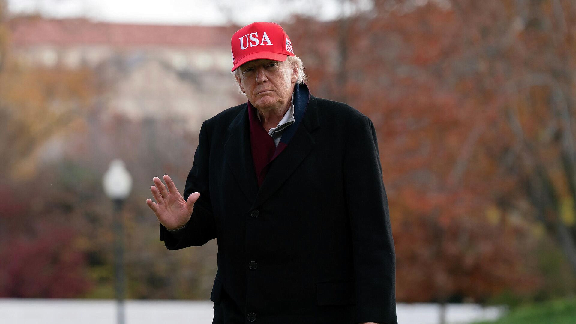 ����� ����� �� �������, �������� �� ������� ���������� ����������� � ���