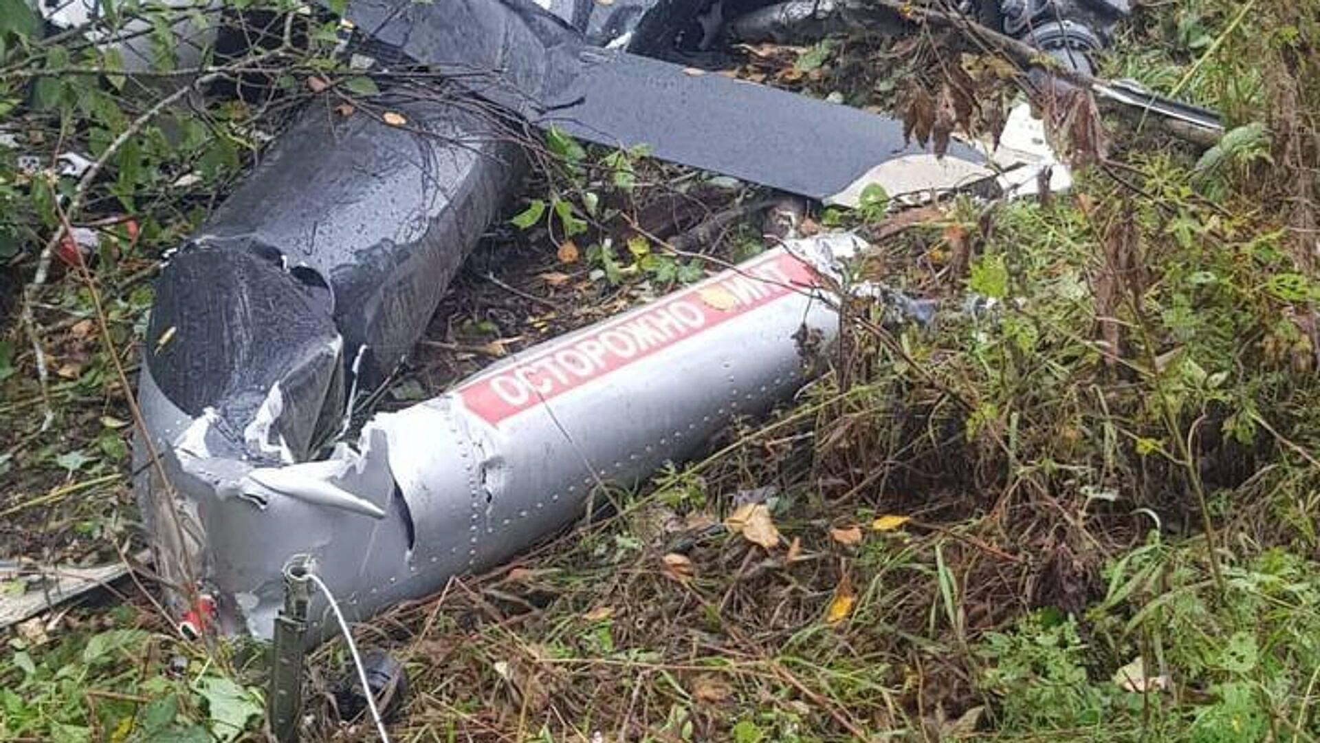 �� �������� ���� �� ����� �������� ��������� � ������������� �������