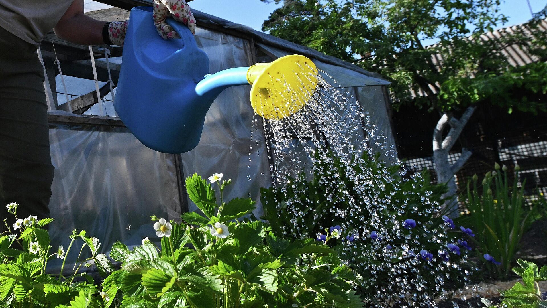 �������� ����������, �� ����������� ������ �������� ������ ������