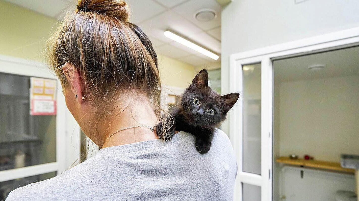 ����� 2,7 ������ �������� �� ������� � ������ ������ ��� �� ���