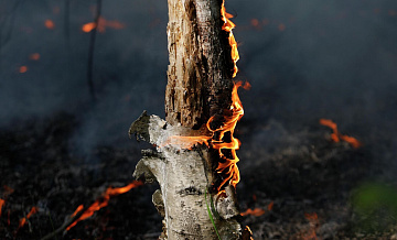 В Приангарье сильные порывы ветра вызвали пожары в населенных пунктах