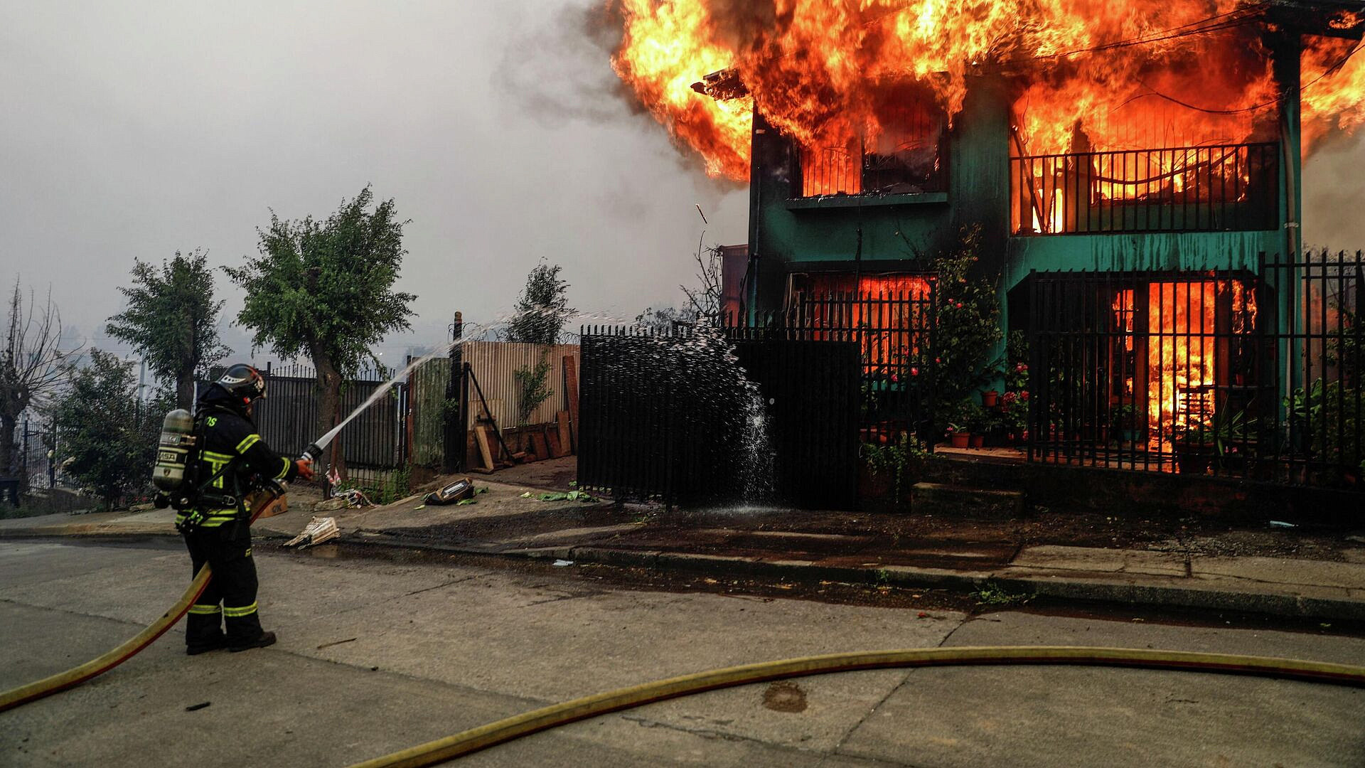 � ���� ������ ������ ������