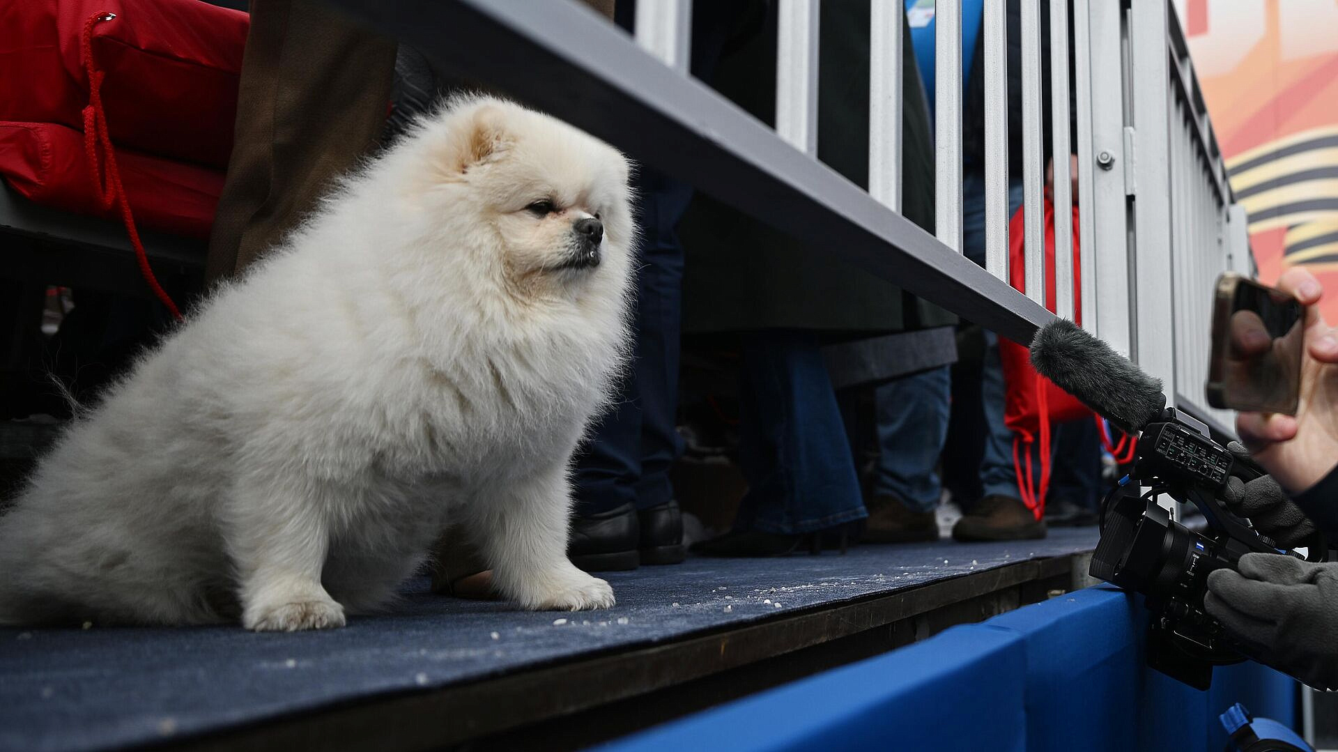 ���: ����� ��������� ������������ ��� ����������� ������ �� ������ ������