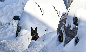 В Приамурье из-за непогоды отменили пять междугородних автобусных рейсов