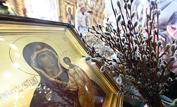 Священник объяснил, почему нельзя выбрасывать вербу