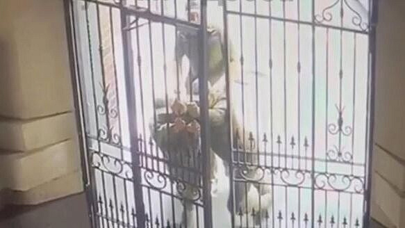 ���������� ��� �� ������, ��� ������� ������, � �� ������ ������� �������