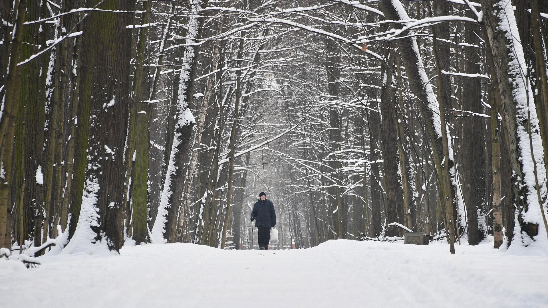 � ������ � ��������� �������� 30-�� ������������� �������, ������ ��������