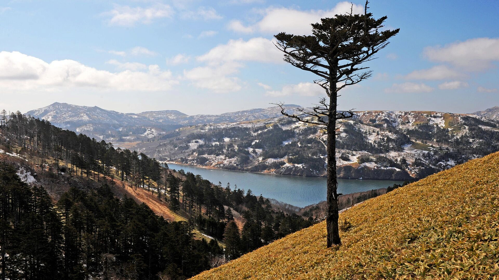 У Южных Курил произошло землетрясение магнитудой 5,3