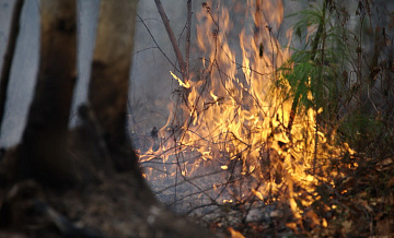 В трех районах Забайкалья локализовали шесть природных пожаров