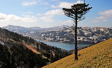 У Южных Курил произошло землетрясение магнитудой 5,3