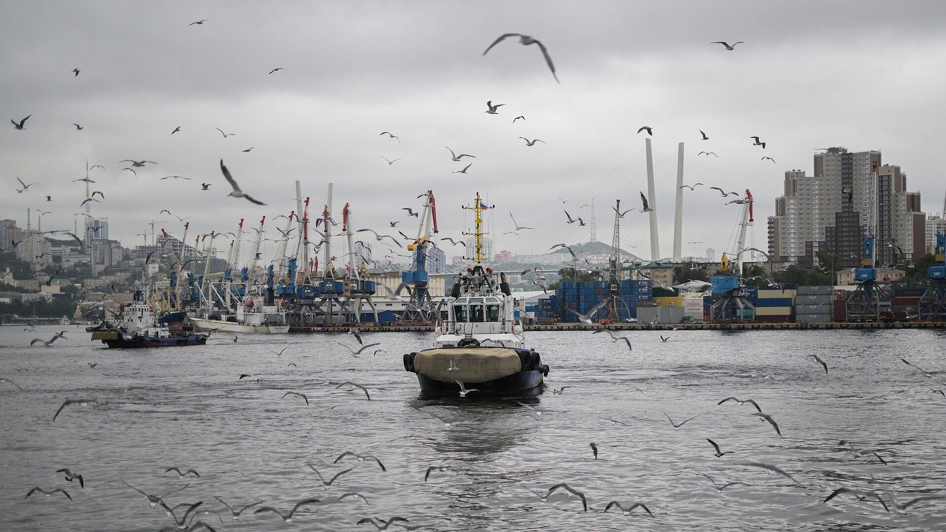 �� ������������ � ����� ���� ����