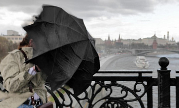 В Москве два дерева упали из-за сильного ветра