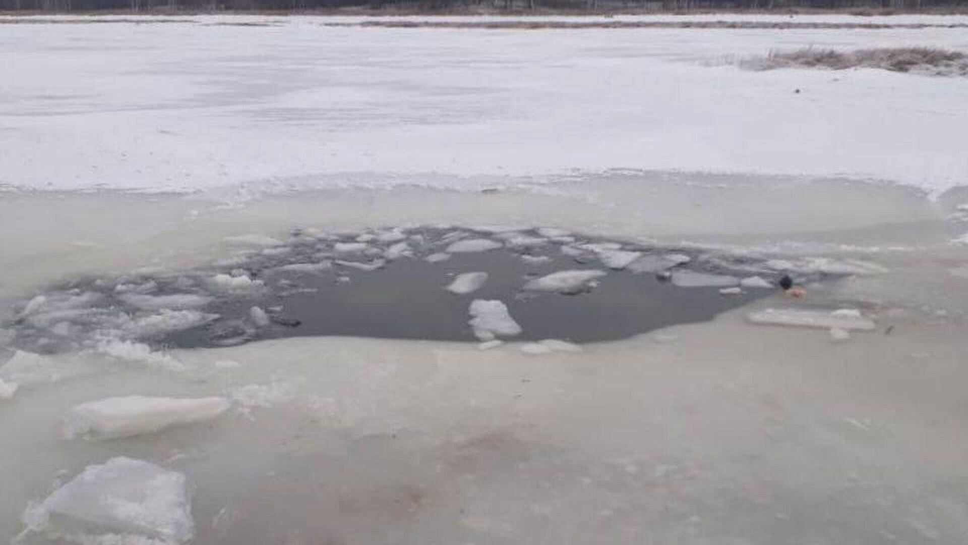 � ��������� ������� ������ � ������ ����������� ��� ���