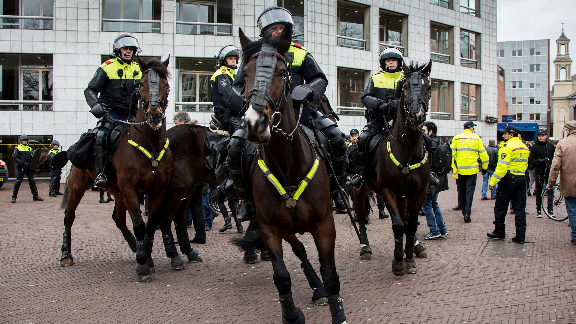 � ���������� ������ ������������ �� ��� ����� ������� � ��������