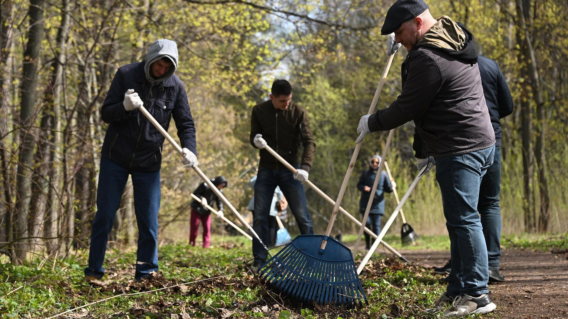 Опрос показал, сколько россиян избегает субботников на работе