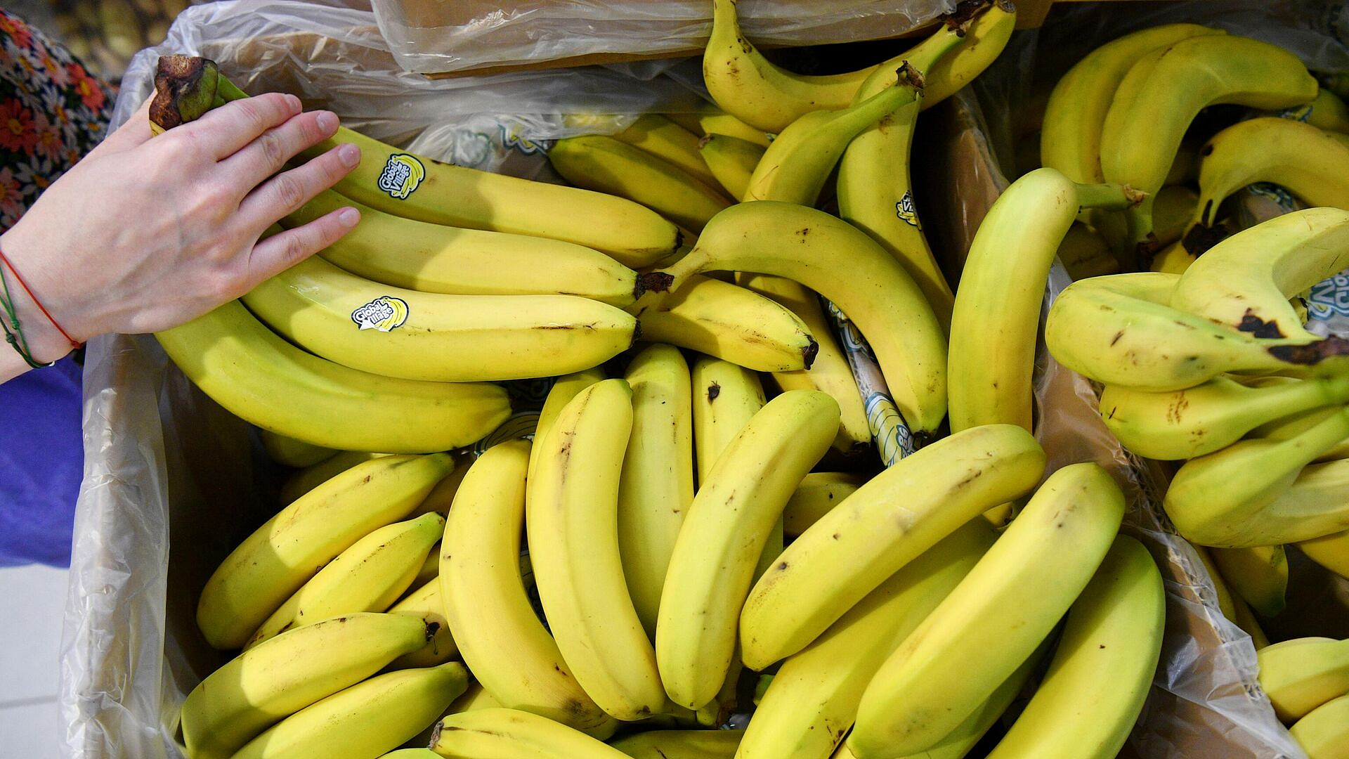 � ���������������� ����������, ������ ����� ���� ������ ����� ����