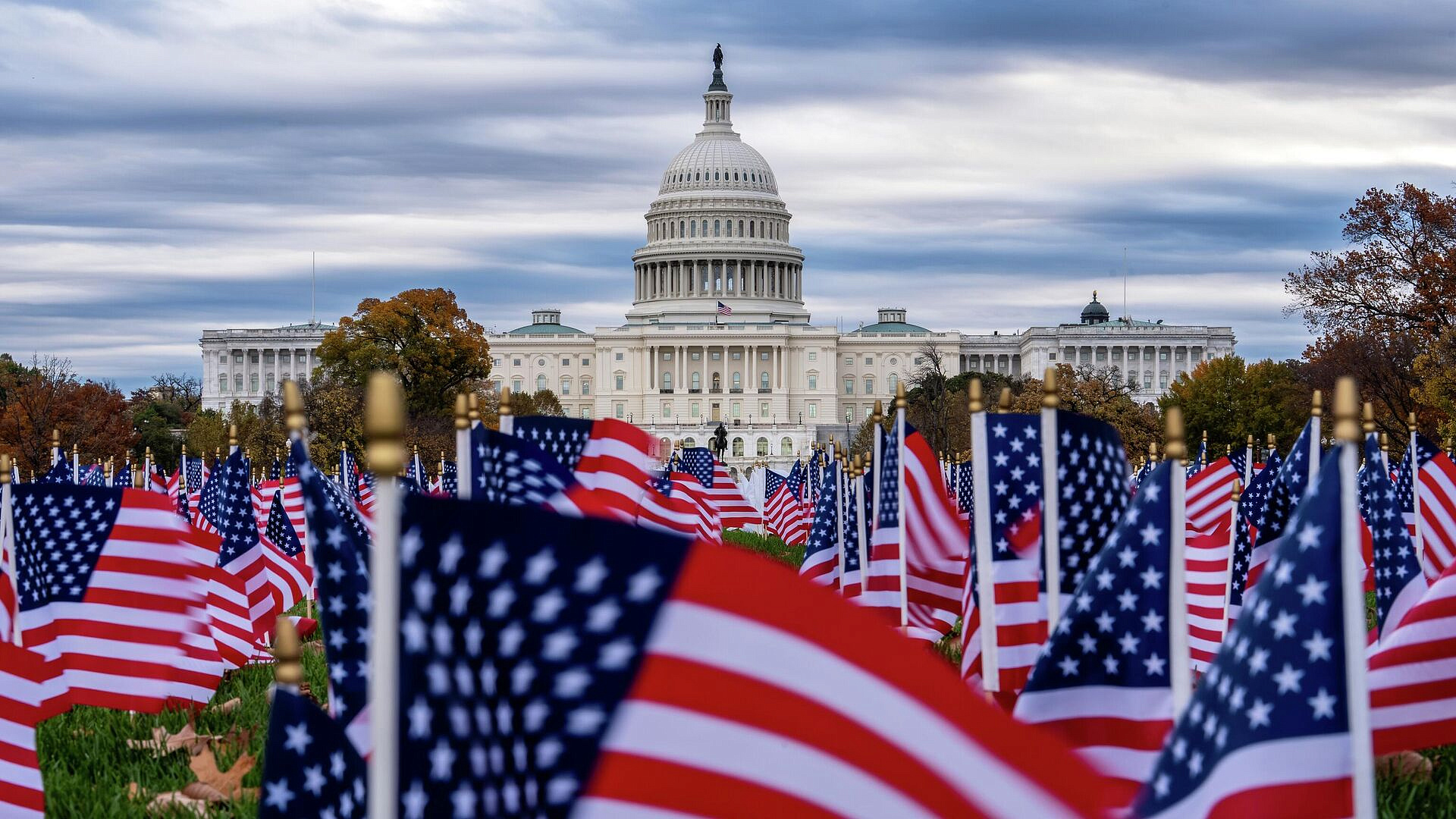 ���: ��� �������� ������ �� ������������� ��������������� ���