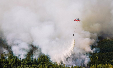 Небо над Приамурьем затянул дым от пожаров в Китае
