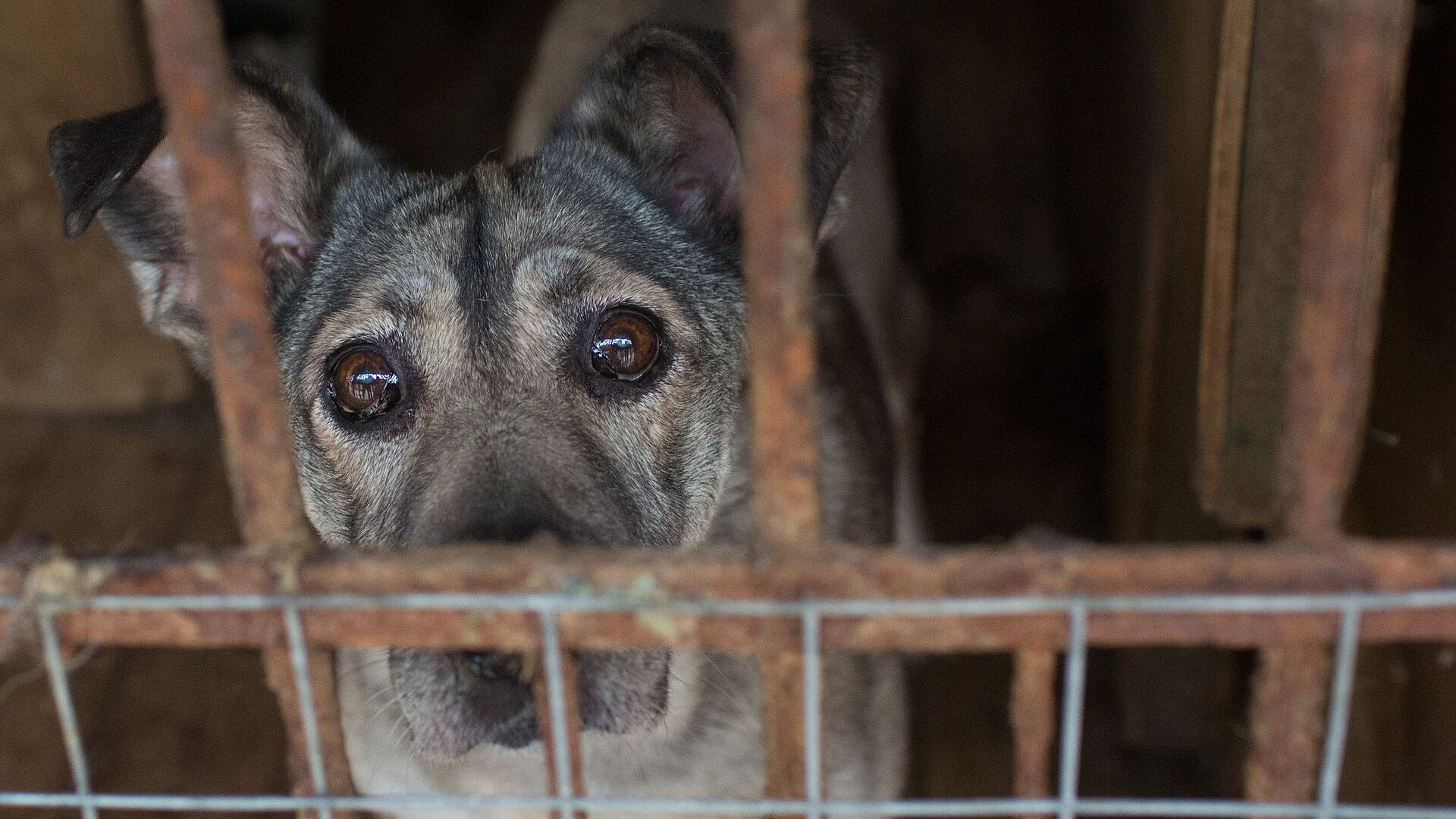 ����� 100 �������� �� ������� ������ ������ ��� � ���������� ���������