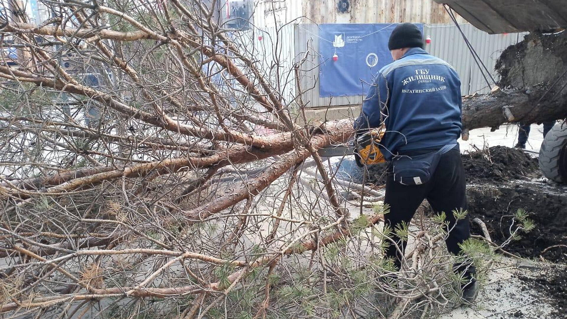 В Москве госпитализировали 16 пострадавших из-за непогоды
