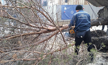 В Москве госпитализировали 16 пострадавших из-за непогоды