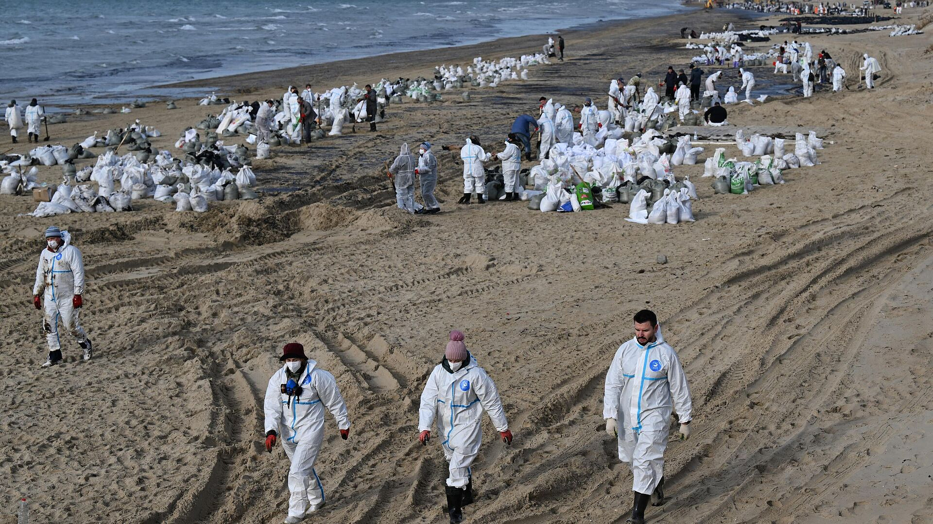 Власти Кубани поддержали идею наградить волонтеров за очистку побережья