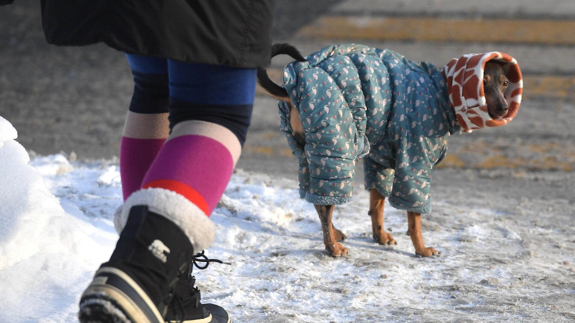 � ��� ����������, ��� ������ �������� ��� �����