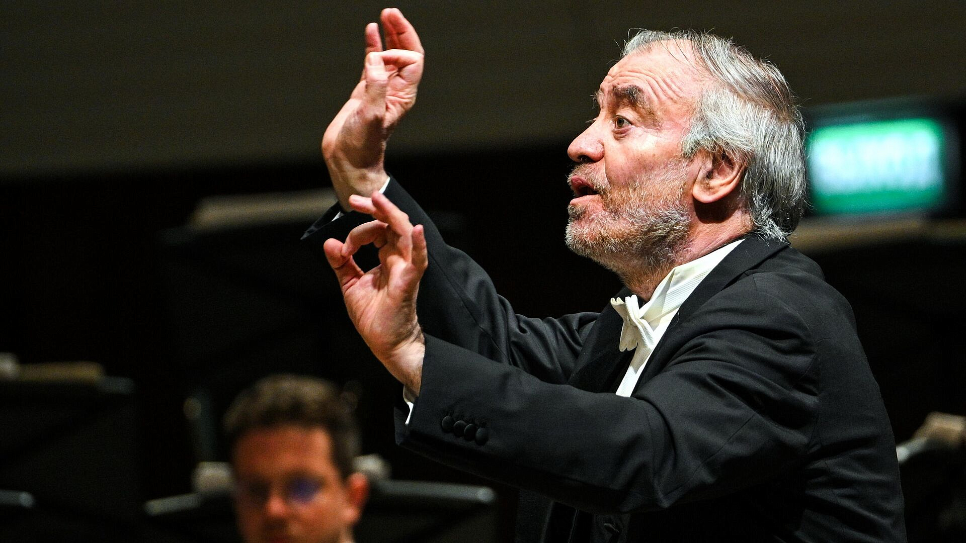 Пасхальный фестиваль Гергиева откроется в Москве 12 апреля