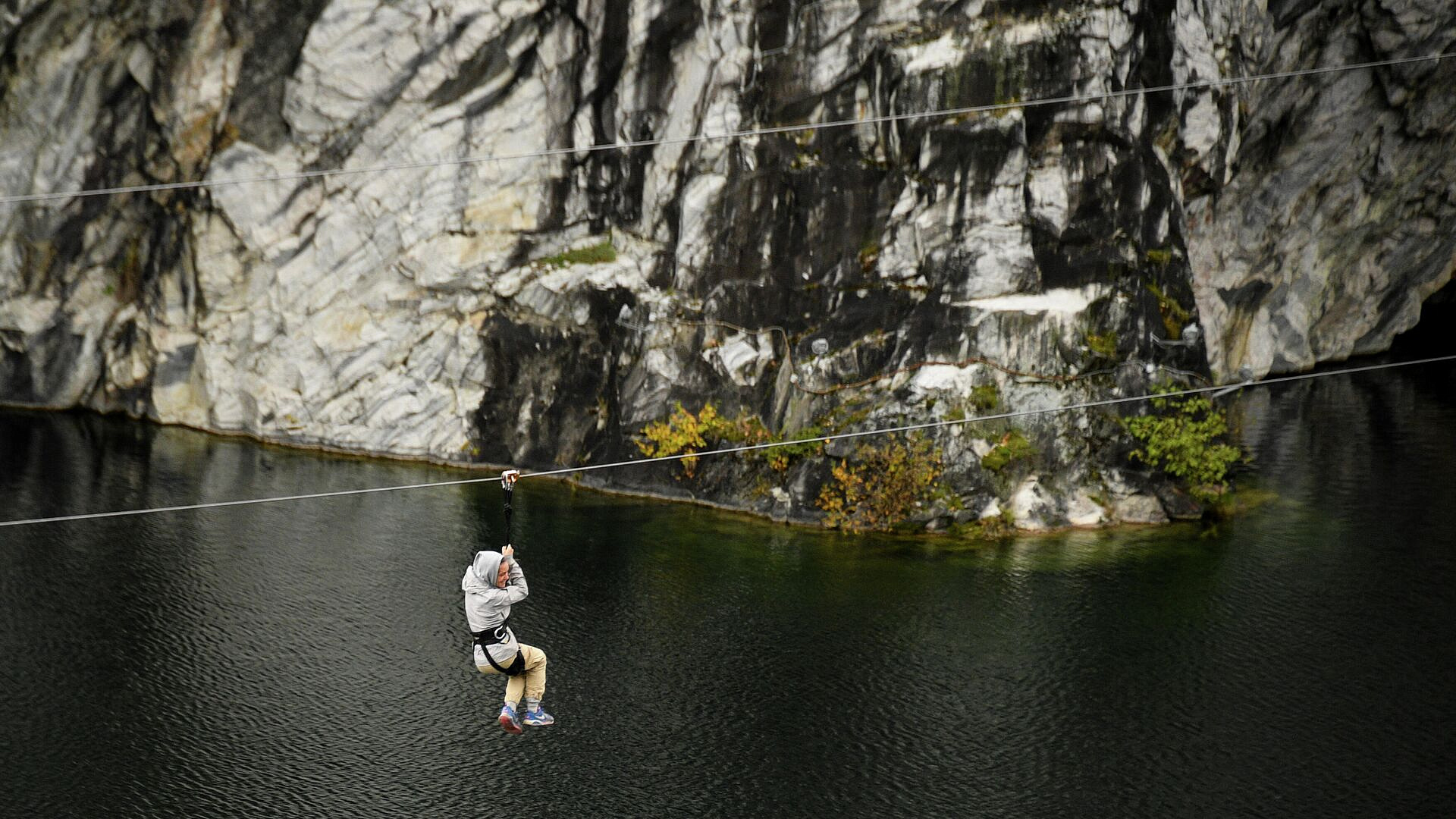 � ��������� ��� �������� ����������� �� ��������