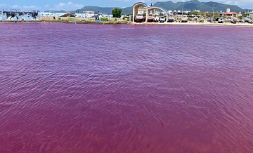 В порту на Окинаве вода окрасилась в красный цвет