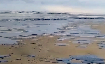 В районе заповедника в Анапе выявили очаги выброса мазута