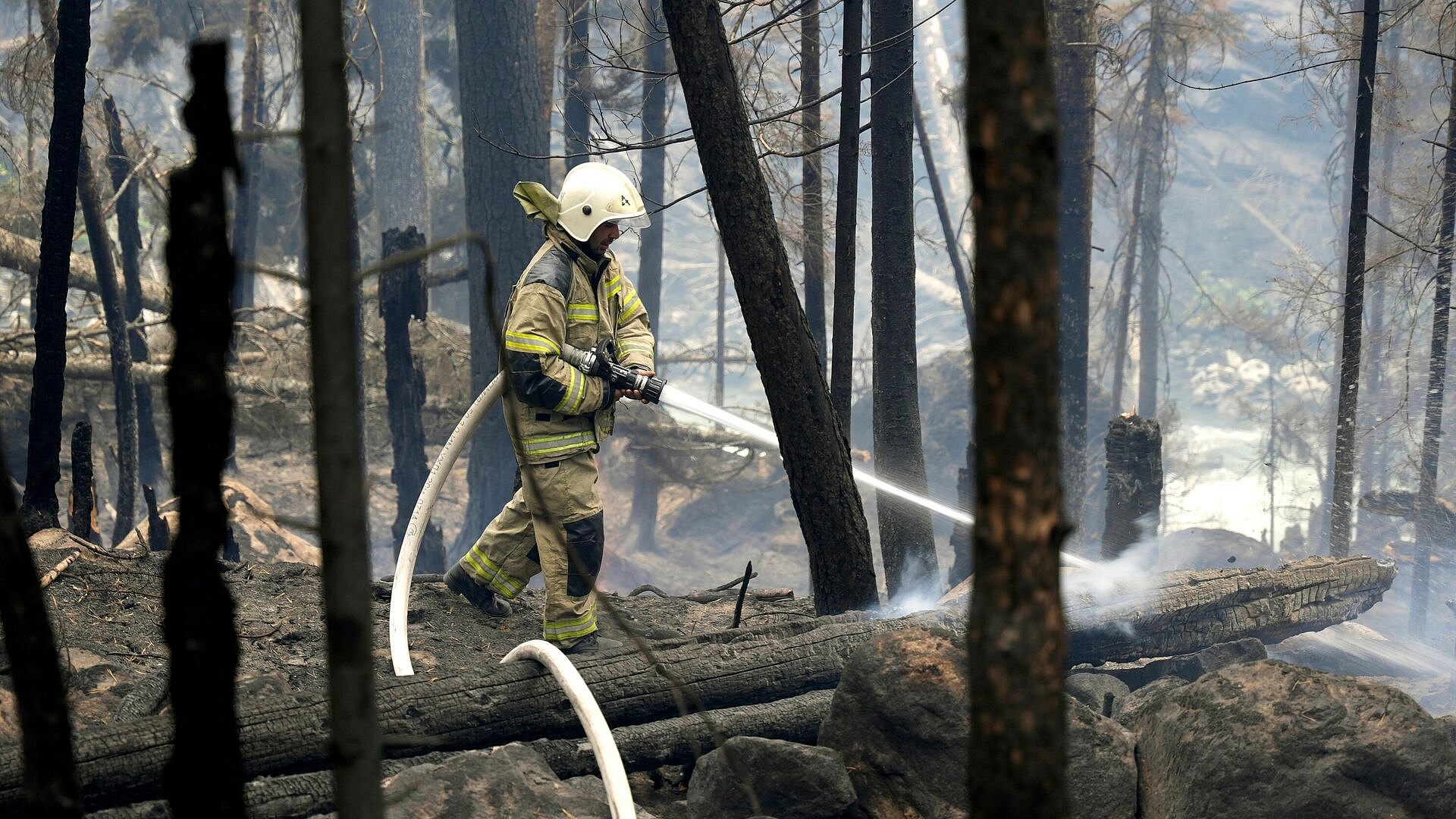 В Туапсинском районе загорелся лес