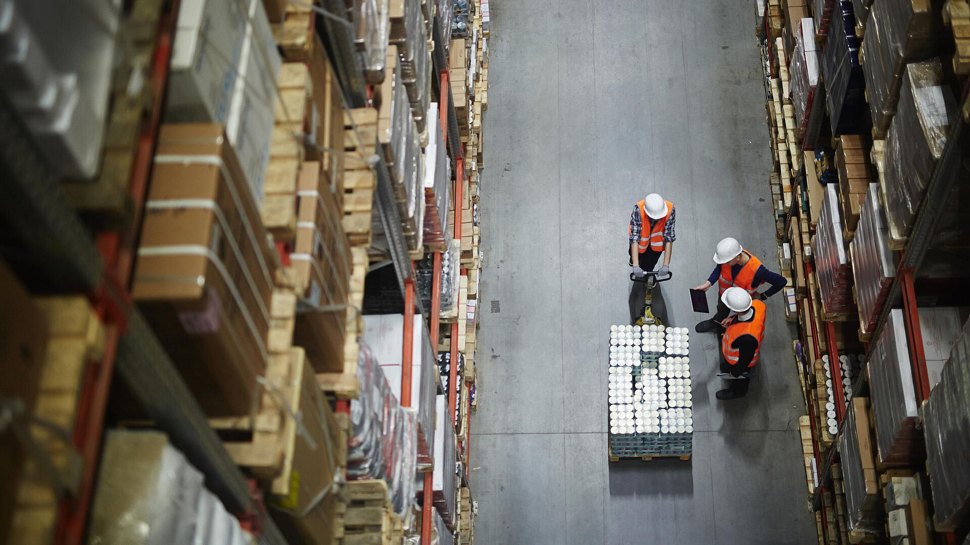 Россиянам назвали профессии, в которых возможен карьерный рост в 2025 году