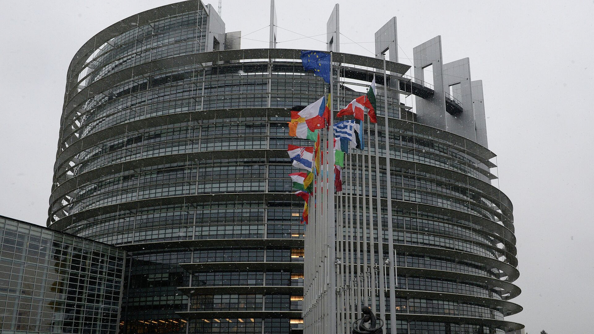 Европарламент проголосует о вотуме недоверия фон дер Ляйен в четверг Европарламент проголосует о вотуме недоверия фон дер Ляйен в четверг