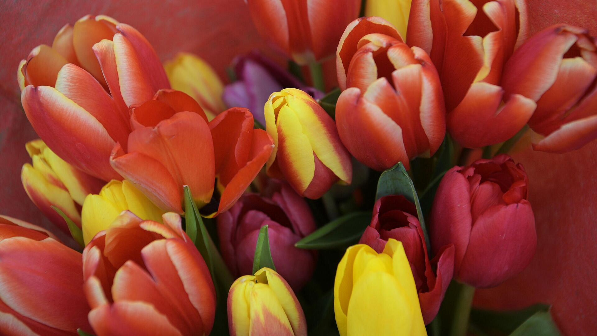 �������-�������������� � ���� ��� ���������� ��������� � 8 �����