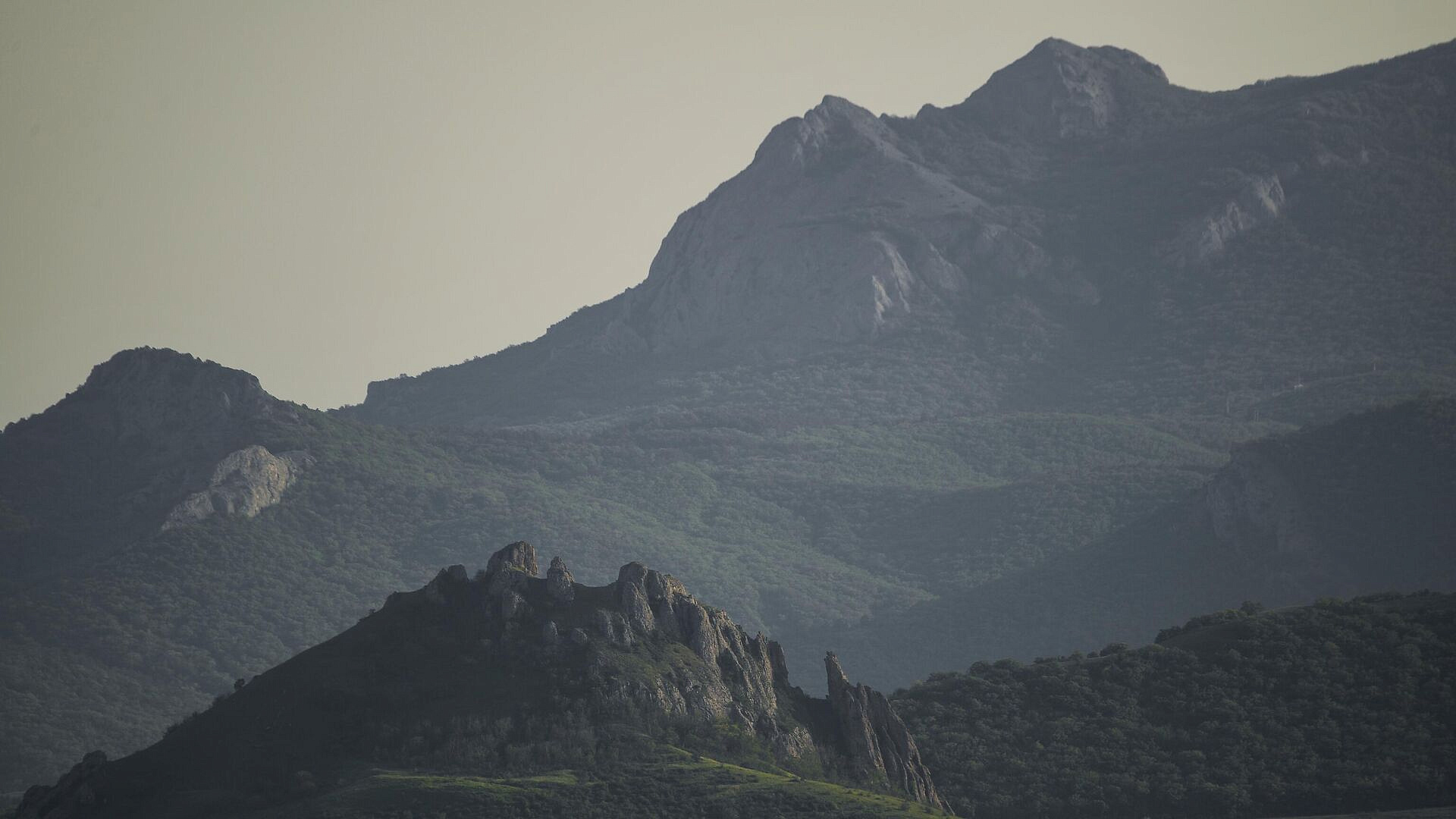 � ����� ������ ���� ������������� ��������