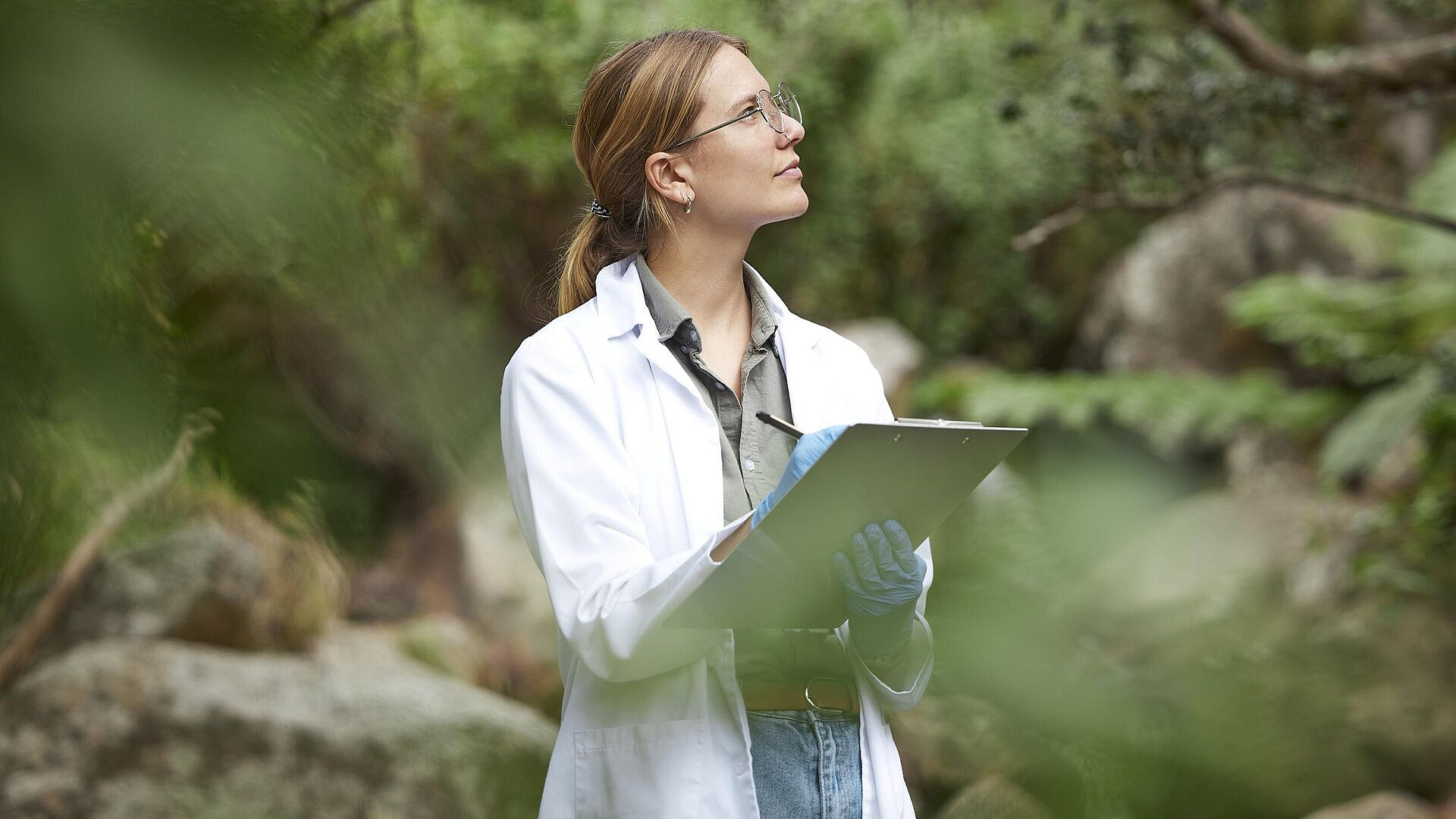 ������ ����������� ����� ����������� ����� � ������� ����������� �������� 