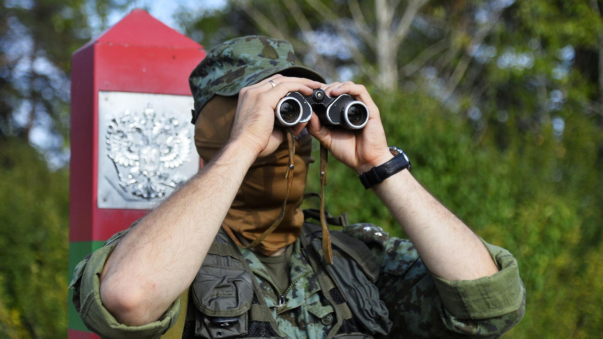 �����: ������������ ������ ���������� ����������� �� ���� ������������